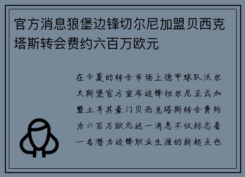 官方消息狼堡边锋切尔尼加盟贝西克塔斯转会费约六百万欧元